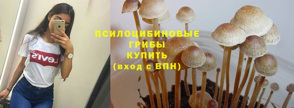 экстази Богданович