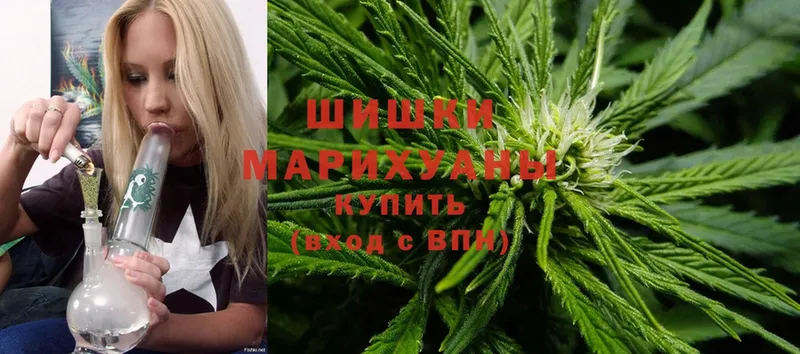 Канабис White Widow  Курлово 